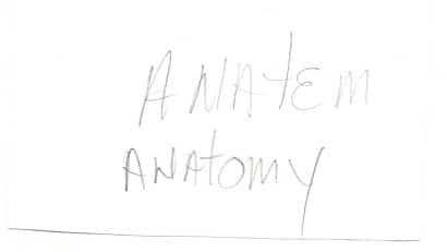 Anatem Anatomy