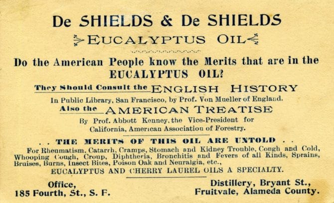 e Shields & Co. advertisement for eucalyptus oil undated