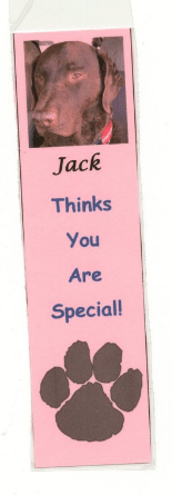 Jack Thinks You Are Special