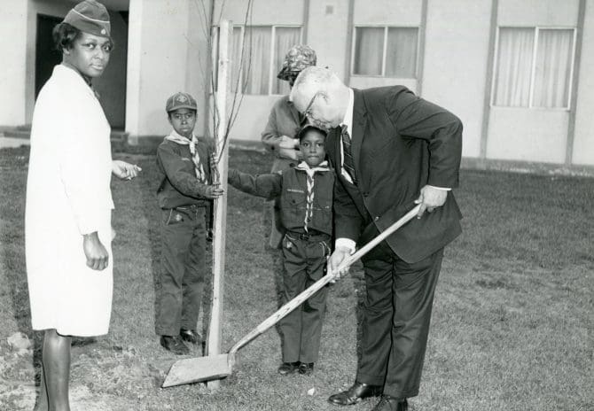 Newly planted tree at the Northwest Y.M.C.A., 1968