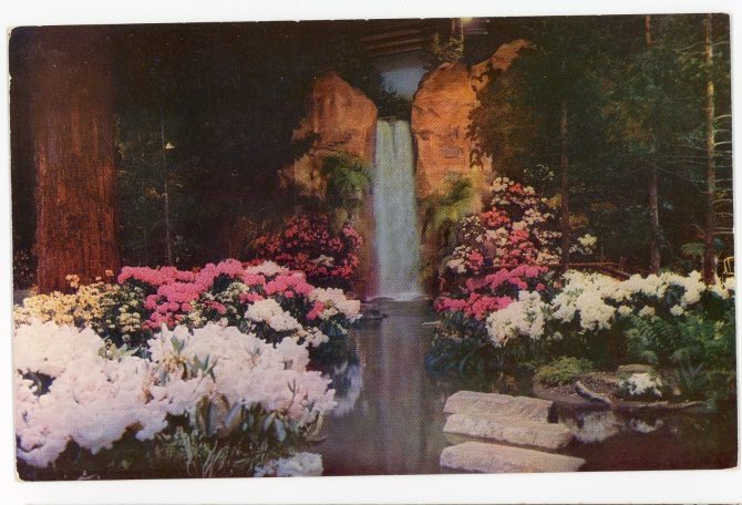 Color image showing a tall waterfall cascading down a faux cliffside into a still pool, lined on both sides by abundantly blooming pink and white flowers.