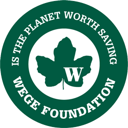 logo-WegeFoundation