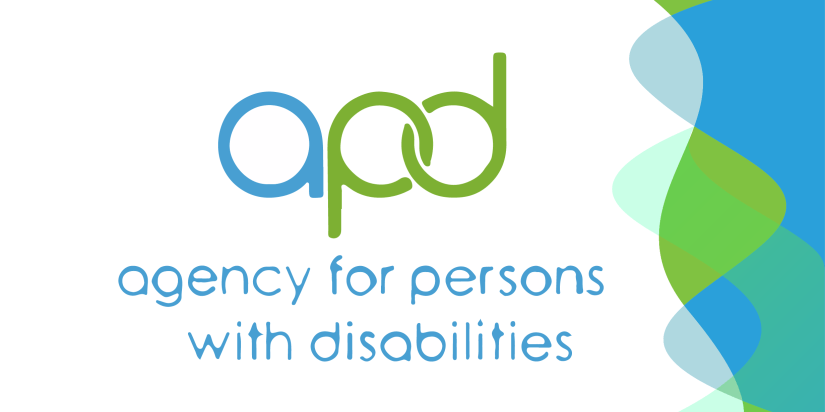 Access Agency for Persons With Disabilities Resource