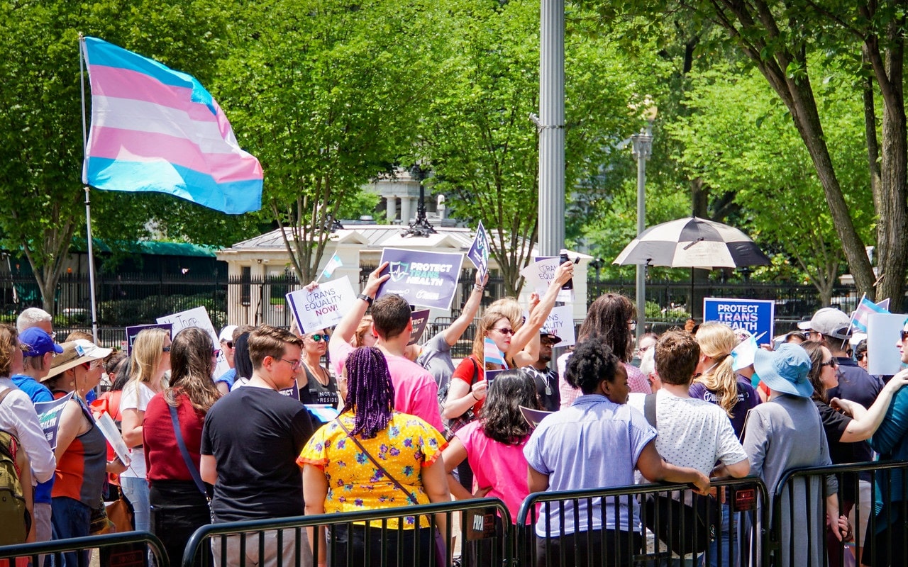 A photograph of a crowd of people standing in a park. The Transgender Pride Flag is flown and flapping in the breeze.