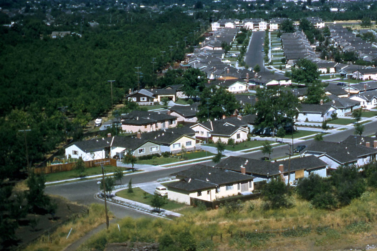 Image: Meadowbrook tract c.1957. The orchards on the left became Canoas Elementary. Photo by Burt Corsen
