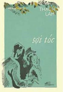 bookcover of "Soi Toc".