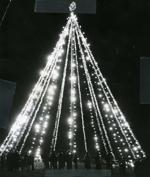 Photo of an artificial Christmas tree lit at night on the First Baptist Church hill in San Jose in December of 1964.