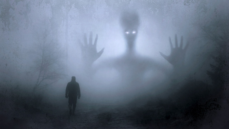 Person walking in a forest seeing a ghostly image