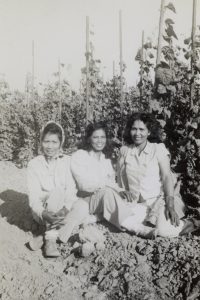 Image: Filipinas Diaga Quibelan, Mrs. Raras, and Mary Cabebe in a string bean patch on a farm at 4th & Bayshore in the late 1940s. Photo courtesy of the Ragsac family