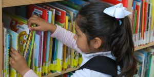 Young child browses picture books on Mt. Pleasant's shelves.