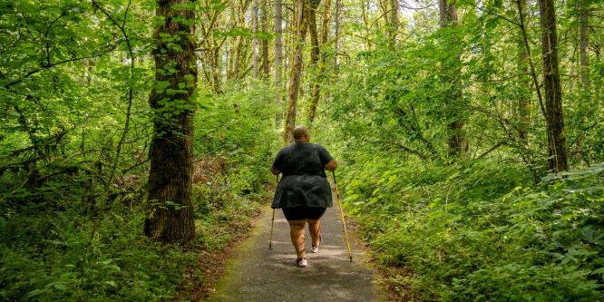 Wide back shot of a disabled Black non-binary hiker entering a forest with trekking poles via an accessible paved trail. They are surrounded by lush greenery, with sunlight peeking through the back of the visible path.