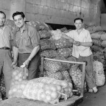 Inside view of the market with workers standing next to loads of onions and potatoes