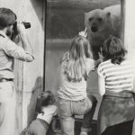 Children interact with a polar bear while a man captures the moment on his camera, undated. Photograph by Bud Bertog. Source: Special Collections, Chicago Park District Records: Photographs, Photo 167_011_018.