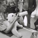 A zookeeper demonstrates feeding a baby polar bear for an on-looking crowd, undated. Source: Special Collections, Chicago Park District Records: Photographs, Photo 167_011_021.