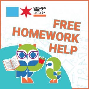 public library homework help