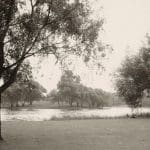 Washington Park, 1935. Source: Chicago Public Library, Chicago Park District Photograph 104_005_014