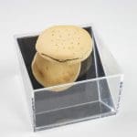 hardtack biscuits on a clear box