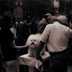 A fluffy dog with people standing around