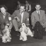 Three people with their cocker spaniels at a dog show