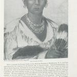 Portrait of person in traditional Native American dress