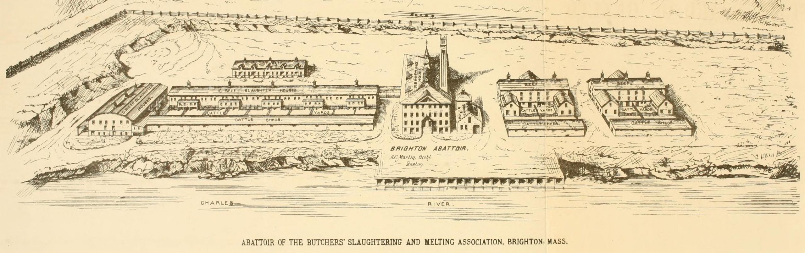 The Brighton abattoir complex