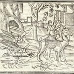 1513 Liber XI