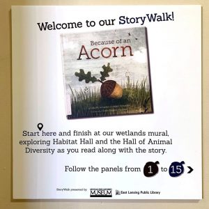 The starting point for the interactive StoryWalk at the MSU Museum celebrating the book Because of an Acorn by Lola Schaefer.