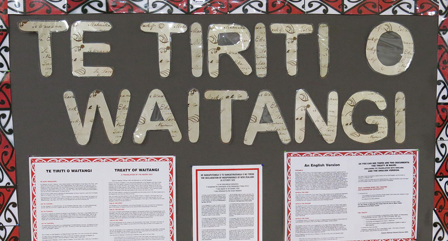 Image result for The treaty of waitangi