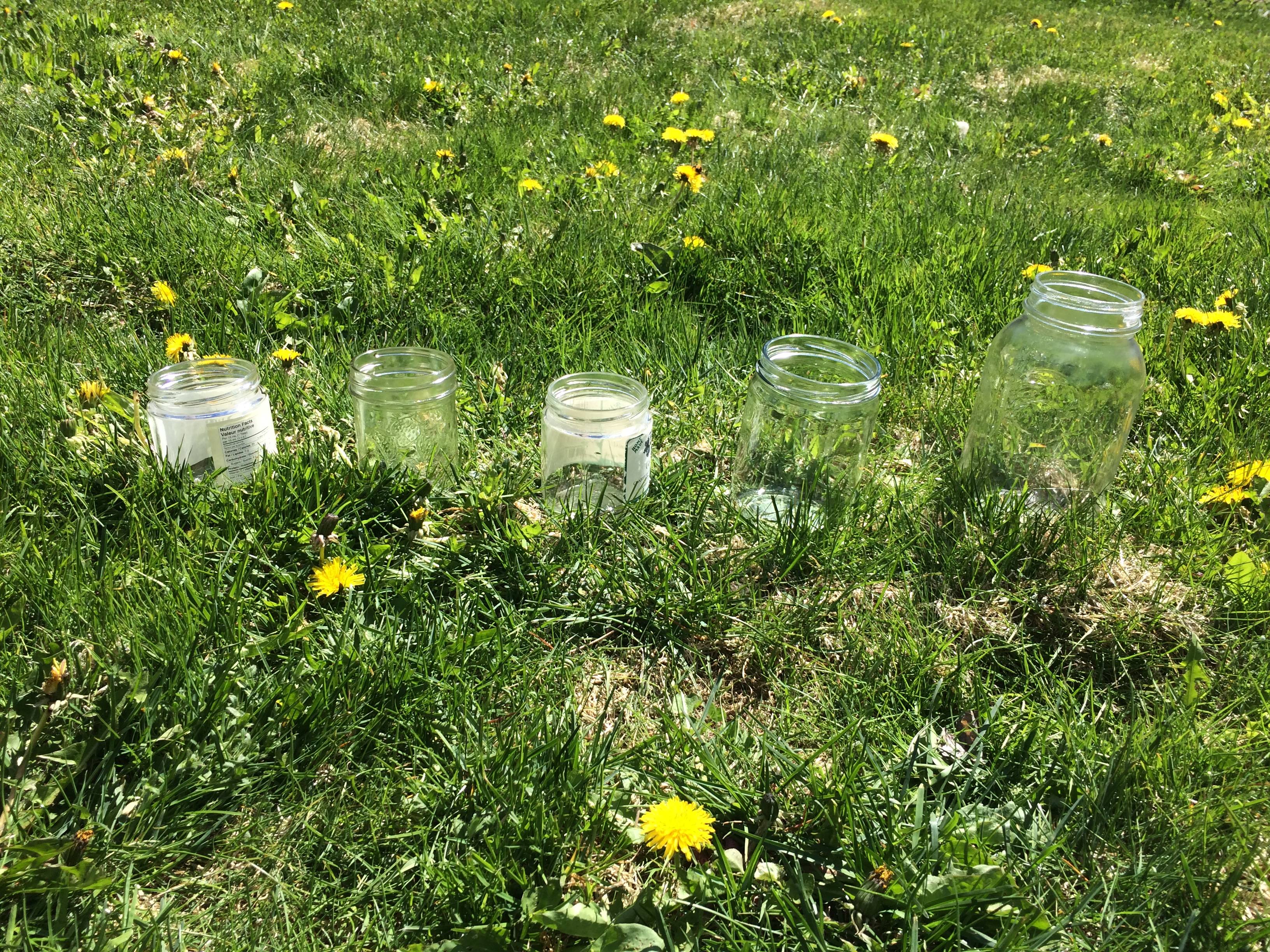 empty glass jars laid out on grass