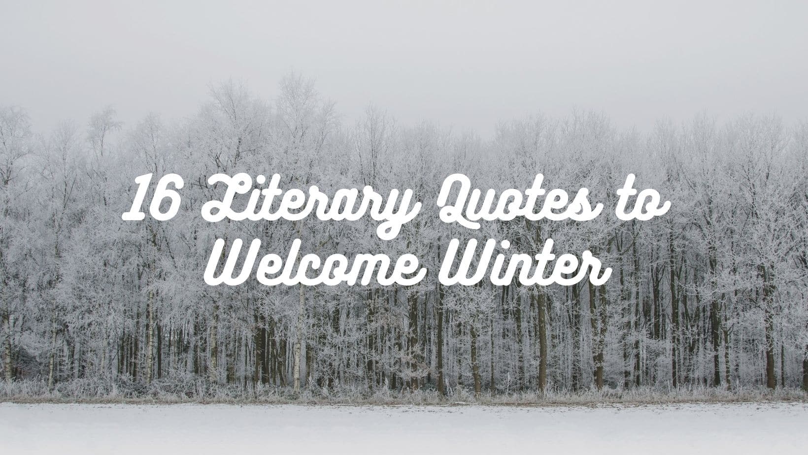 60 Best Winter Quotes - Inspirational Sayings About Winter