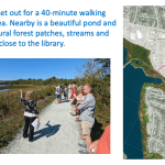 And then we set out for a 40-minute walking tour of the area. Nearby is a beautiful pond and there are natural forest patches, streams and marshes very close to the library.