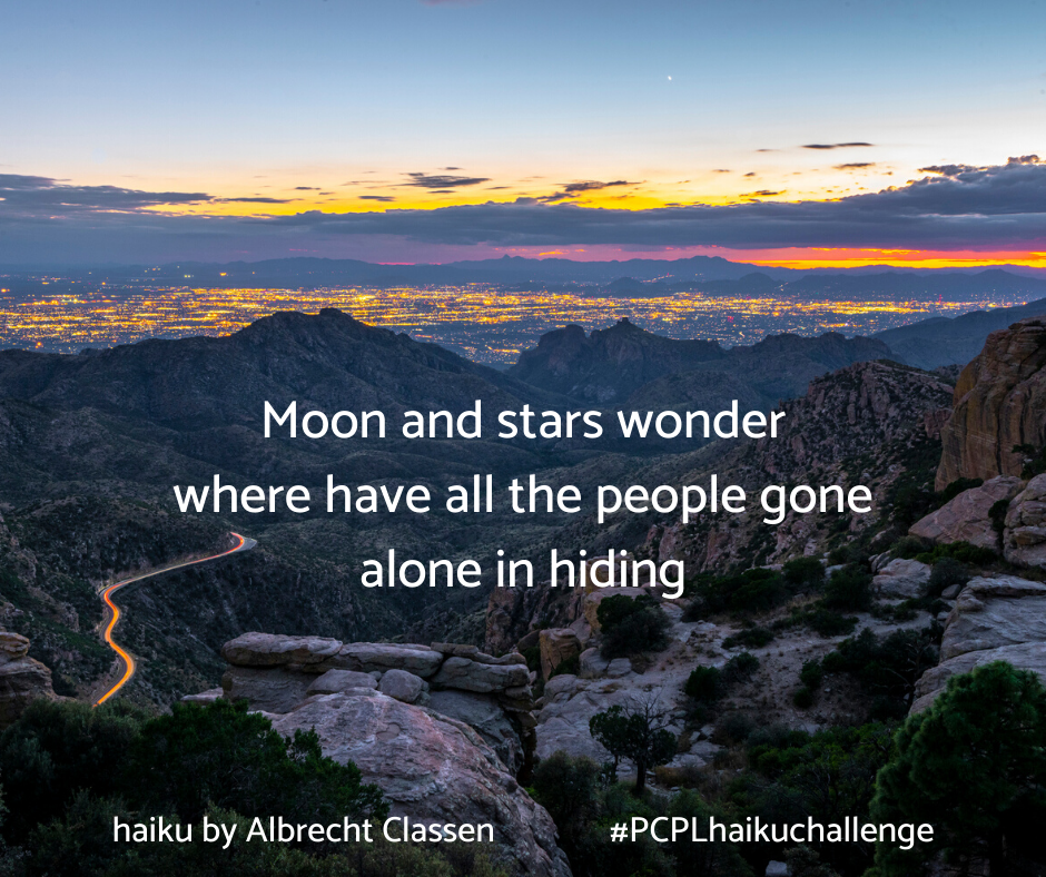 PCPL Haiku Challenge: your poems about life in quarantine | Pima County