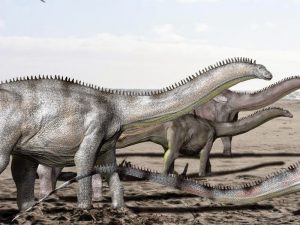 Life reconstruction of Brontosaurus excelsus