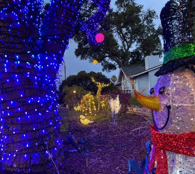 Holiday lights with Frosty and friends