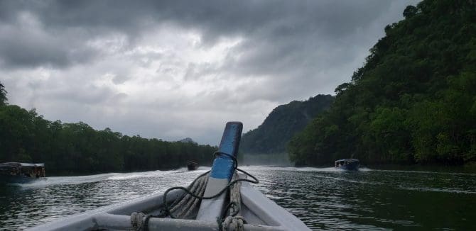 Boat Ride to the Mangrove Reserve Before Storm