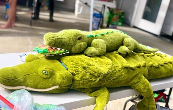 Maxwell, Milpitas Library - Baby Gator Eating Takis