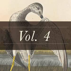 Birds of America volume 4