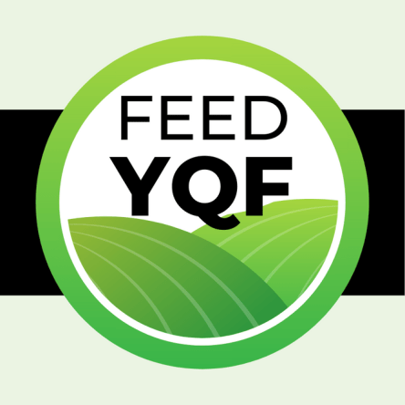 Feed YQF