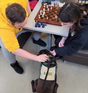 Two people seated at a table with a chess board on it, reaching down and petting Katja, the library's facility service dog, who is wearing a vest