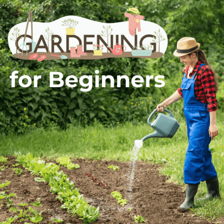 Gardening for beginners, showing a woman in overalls, a hat, and a red checkered shirt watering her garden with a watering can.